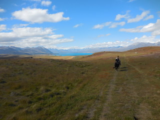 Fototapeta na wymiar The horse riding in the great landscape of New Zealand and the beautiful view of lake Tekapo