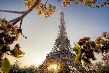 Foto op Canvas Eiffel Tower during spring time in Paris, France © Tomas Marek