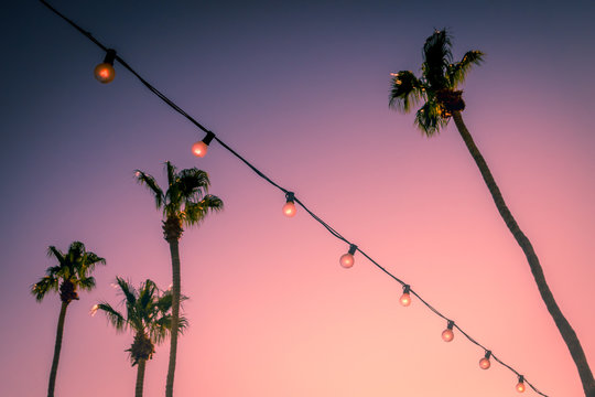 Palm Trees and String Party Lights at Sunset Palm Springs Coachella Valley