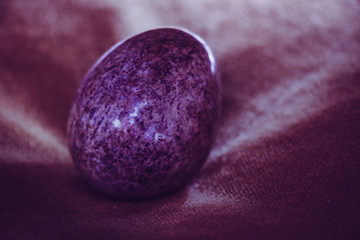 Egg - still life close-up, monochrome