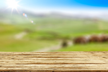 Fototapeta premium Summer background and free space for your decoration. 