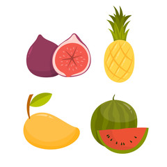 Fruits set. Organic food full of vitamin