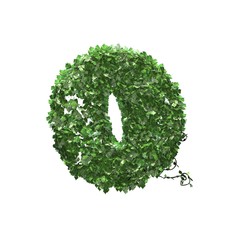 Number 0 created of green ivy leaves - isolated on a white background