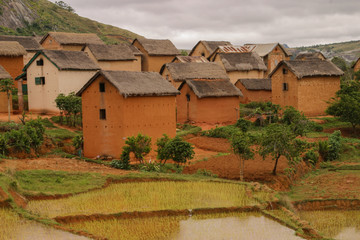 Fototapeta na wymiar typical red houses in the highlands of Madagascar and rice terraces