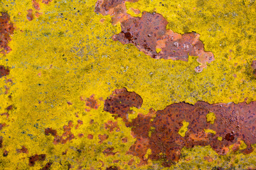 rusty and covered with yellow mycelium old metal, texture and background