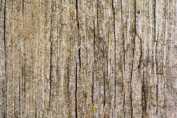 Texture of old unpainted wood ,background