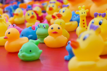rubber ducks 
