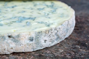 Fourme Ambert semi-hard French blue cheese made from raw cow milk