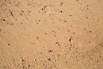 Sand texture on the beach. Natural background.