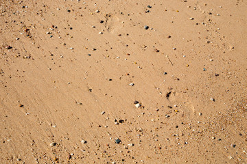 Sand texture on the beach. Natural background.