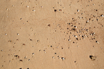 Sand texture on the beach. Natural background.