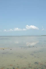 Clouds reflected in the water in Jaffna in Sri lanka