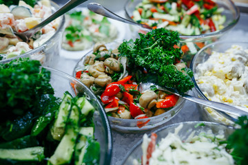 Salad with spinach, cherry tomatoes, corn salad, baby spinach, fresh mint and basil.