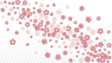 Vector Realistic Pink Flowers Falling on Transparent Background.  Spring Romantic Flowers Illustration. Flying Petals. Sakura Spa Design. Blossom Confetti. Design Elements for Wedding Decoration.