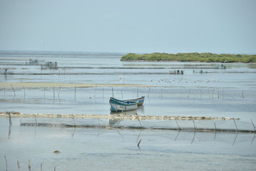 Fototapeta na wymiar Fishermen boat in Jaffna in Sri Lanka