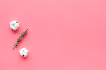 Natural flowers composition with eucalyptus branches and cotton flowers on pink background top view, flat lay copy space