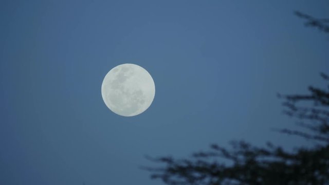 Full moon in the ksy