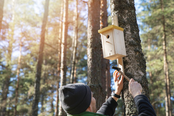 man nailing birdhouse on the tree trunk in the forest