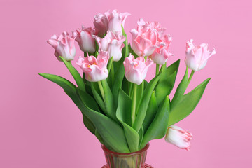 Bouquet of tender tulips isolated on pink background.