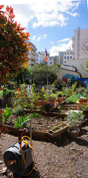 Jardin partag&eacute; Paris 15&egrave;me (France)