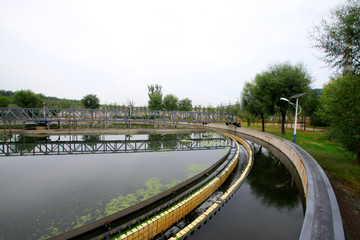 Wastewater treatment plant settling pond