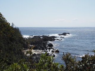 Fototapeta premium 屋久島