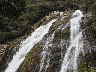 Fototapeta premium 屋久島