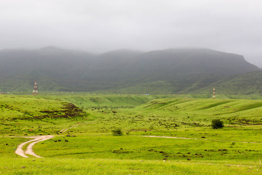 Lush green landscape, trees and foggy mountains in Ayn Khor tourist resort, Salalah, Oman