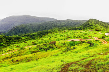 Lush green landscape, trees and foggy mountains in Ayn Khor tourist resort, Salalah, Oman