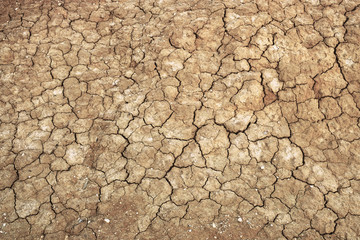  Texture and background, dry cracked earth in the desert. tokyr