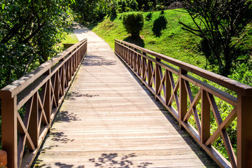 Fototapeta na wymiar Wooden bridge on a walking path in a city park on a sunny day