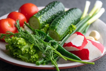 cucumber, tomato, radish, parsley, onion and other vegetables on a plate