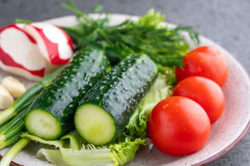 cucumber, tomato, radish, parsley, onion and other vegetables on a plate