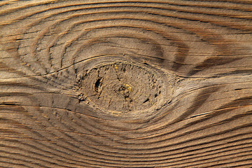 wood texture