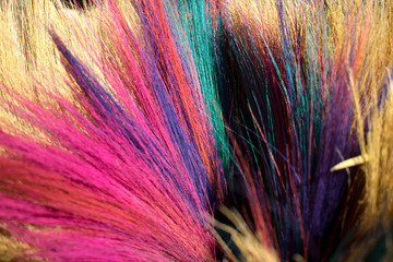 Obraz premium Close up of soft broom dyed in pink, purple and green, multicolored soft broom