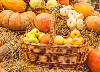 Autumn harvest of apples, pumpkins and onions in  wicker basket on  background of stacks of straw