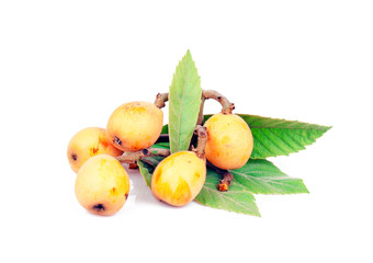 Fresh Loquat on white ground