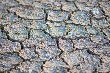 ground dried and crack and arid, no water. soft focus.
