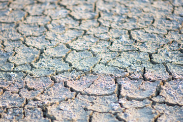 Fototapeta premium ground dried and crack and arid, no water. soft focus.