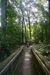 Obraz premium Bridge on path