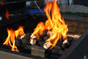 Naklejka premium Barbecue with grill lighter