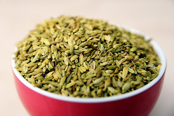 Fennel Seeds or Roasted saunf in a bowl, selective focus