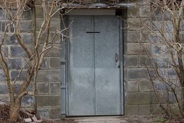 gray metal door on a brick wall on the street overgrown with branches of plants
