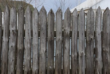 old gray fence of sharp logs in the palisade