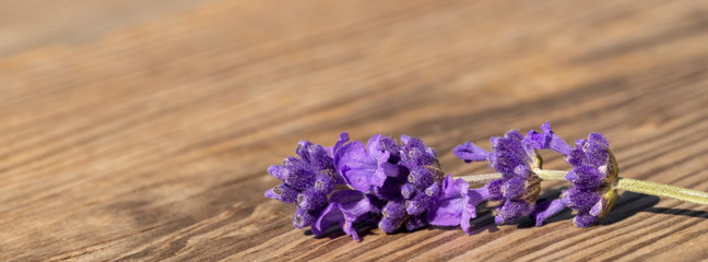 Obraz na płótnie Canvas Fresh flowers lavender on a wooden background