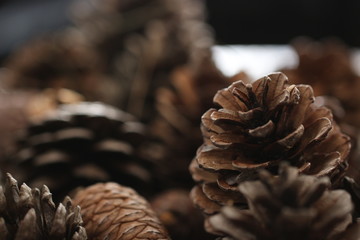 pine cones on wooden background