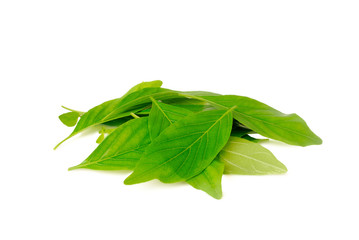 Nasutus Herbal extract. Rhinacanthus nasutus Kurz.Rhinacanthus.With Clipping Path.