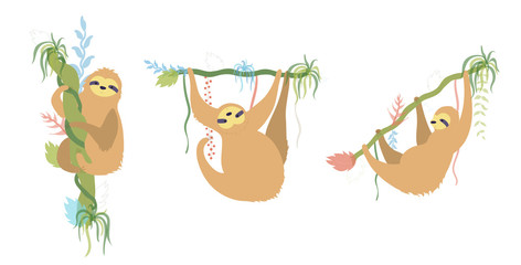 Vector illustration set of cute character sloth