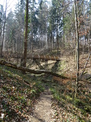 Brücke im Wald