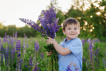 Adorable boy in a blue T-shirt with a bouquet of lupins in a meadow